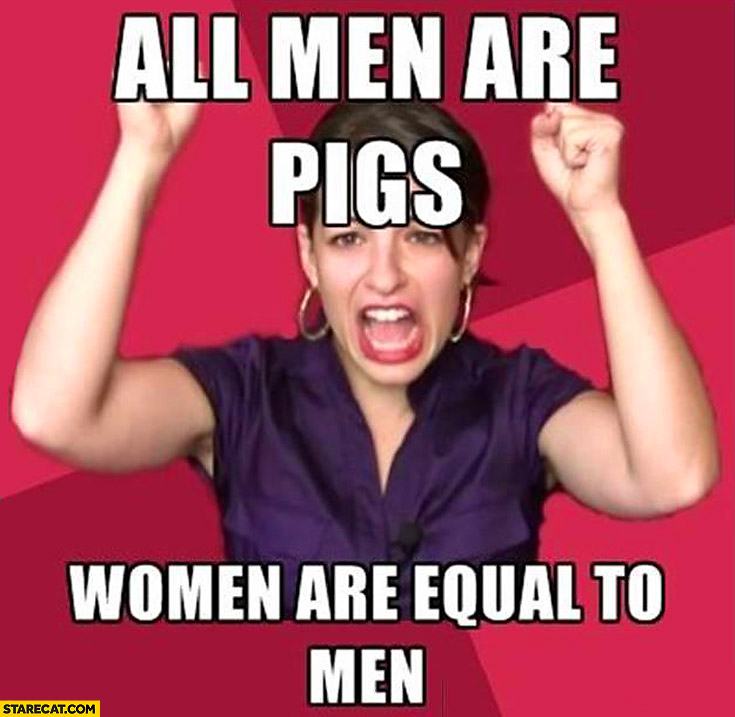 Obrázek stare all-men-are-pigs-women-are-equal-to-men-feminist-meme