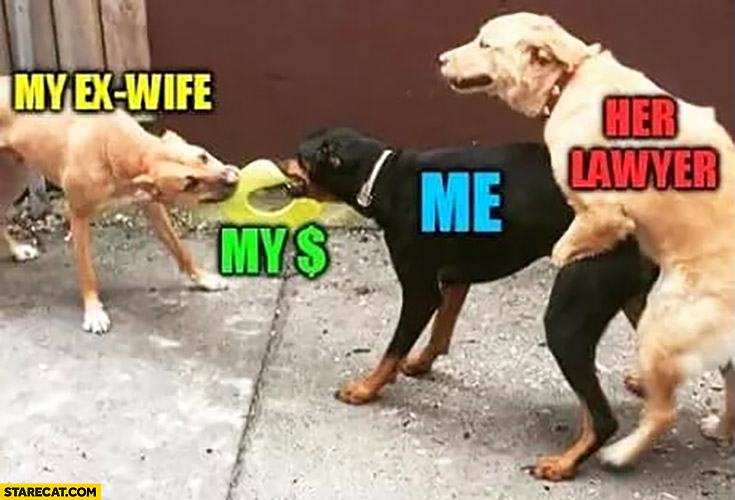 Obrázek stare my-ex-wife-my-money-me-her-lawyer-dogs-fighting