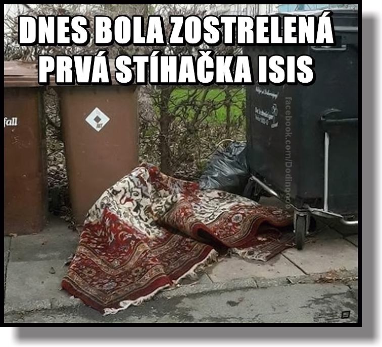 Obrázek stihacka ISIS