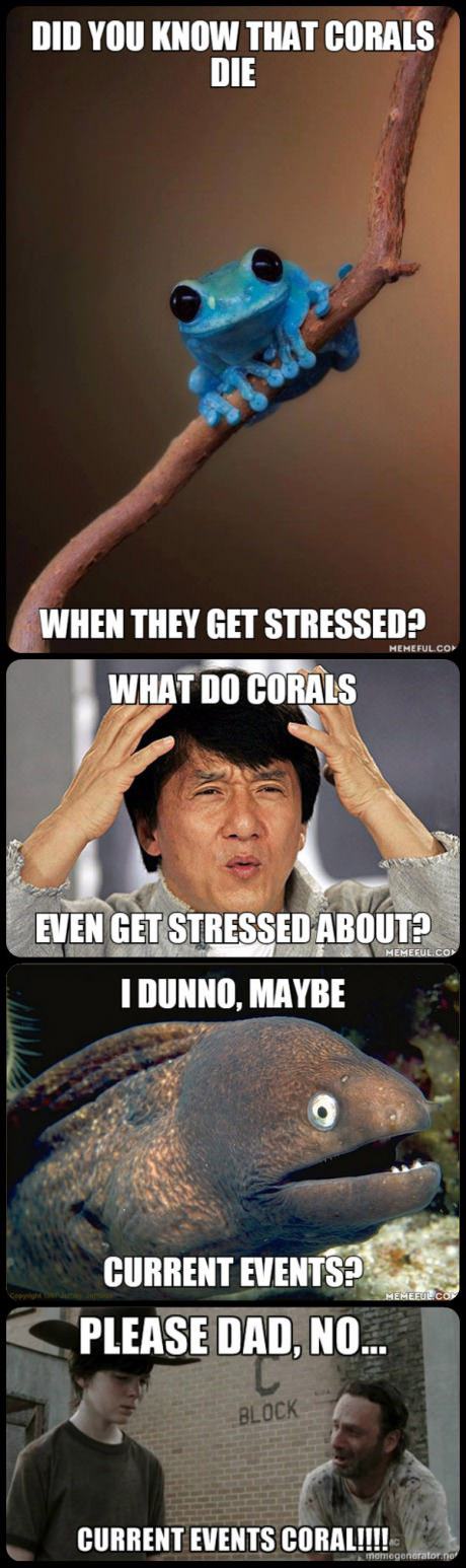 Obrázek stressed corals