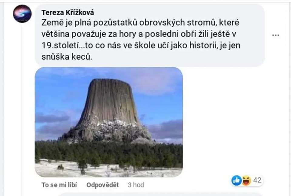 Obrázek stromy jsou normalni jen ty ses malej