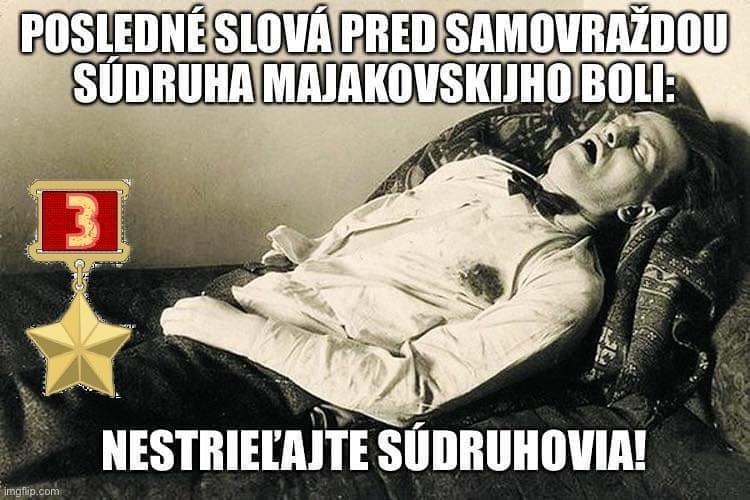 Obrázek sudruh majakovskij n