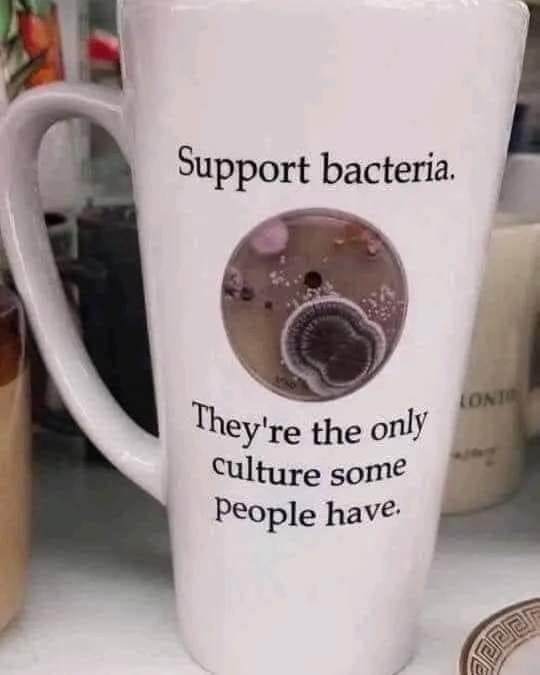 Obrázek support bacterias