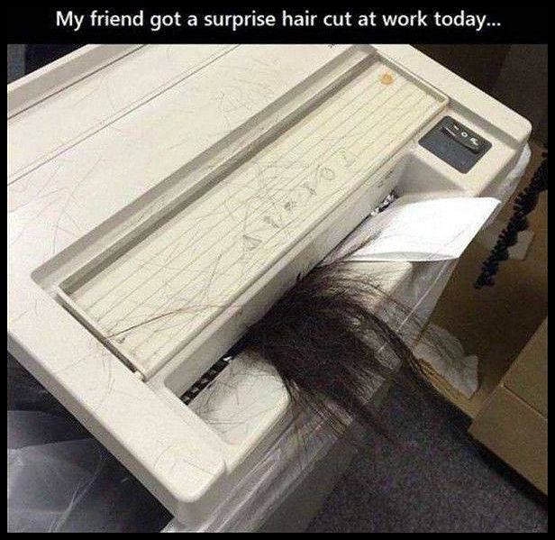 Obrázek surprise hair cut