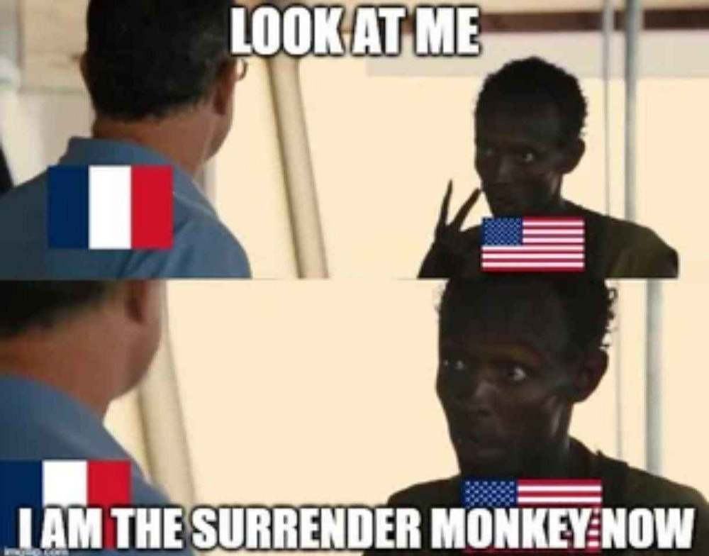 Obrázek surrender monkey