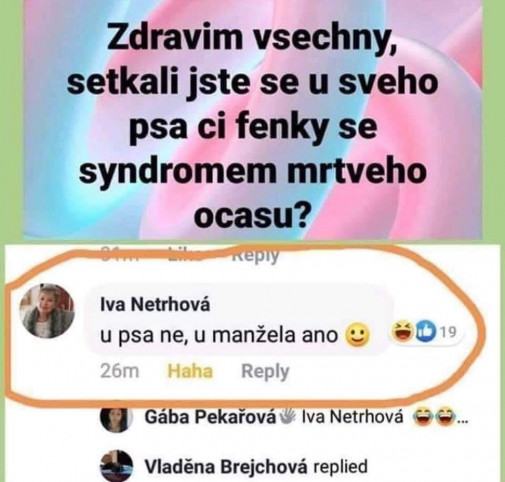 Obrázek syndrom mrtveho ocasu