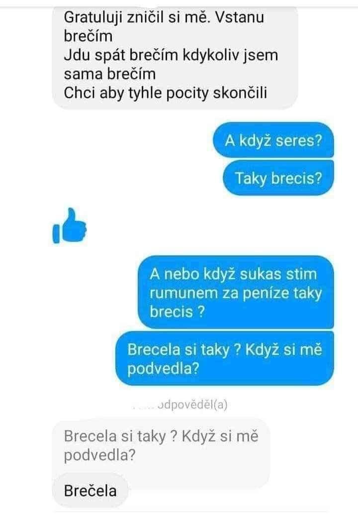 Obrázek taky brecim