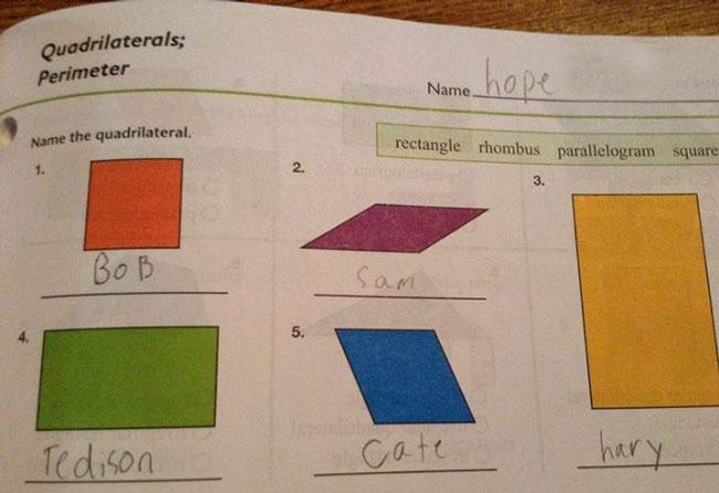 Obrázek test-answers