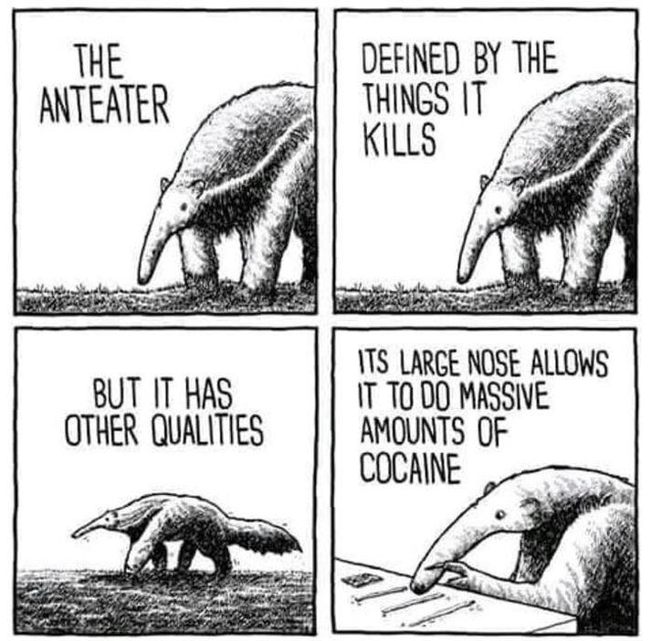 Obrázek the truth about the anteater