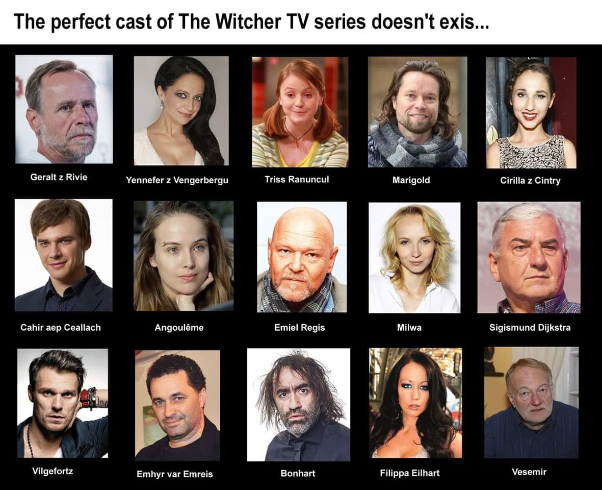 the witcher 2 cast