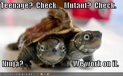 Obrázek tmnt-turtles