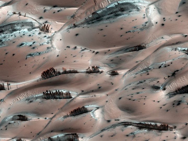 Obrázek trees on mars