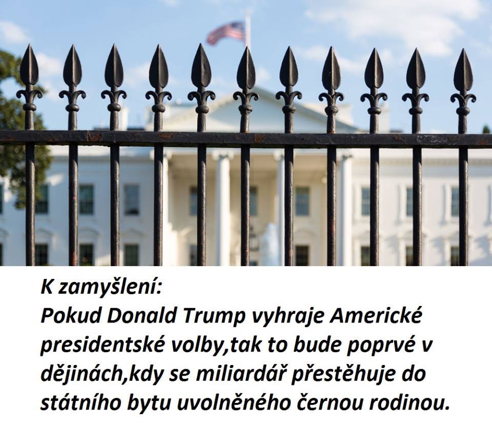 Obrázek trump