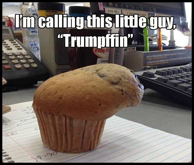 Obrázek trumpffin