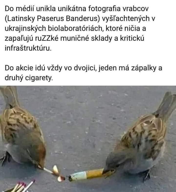 Obrázek ukroptaci