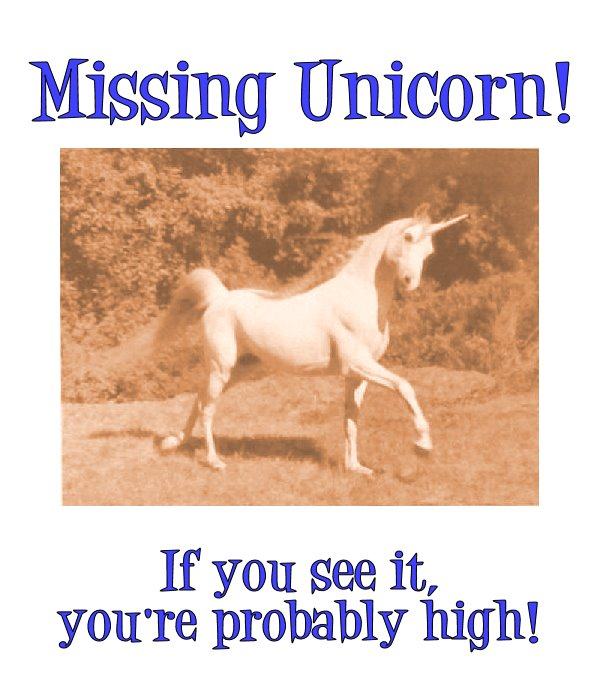 Obrázek unicorn  