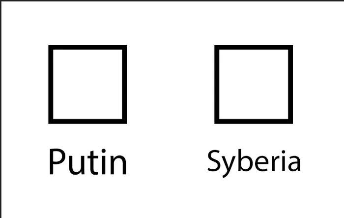 Obrázek unikly hlasovaci listky ruskych voleb