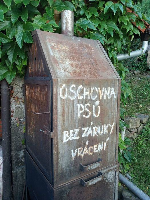 Obrázek uschovna psu