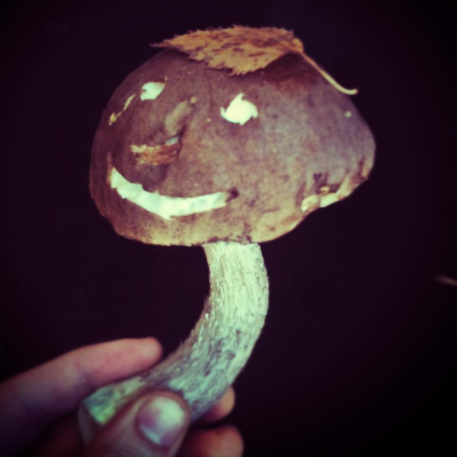 Obrázek usmevava houba