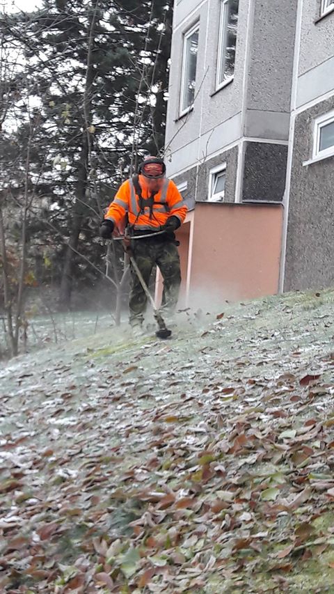 Obrázek uterni rano