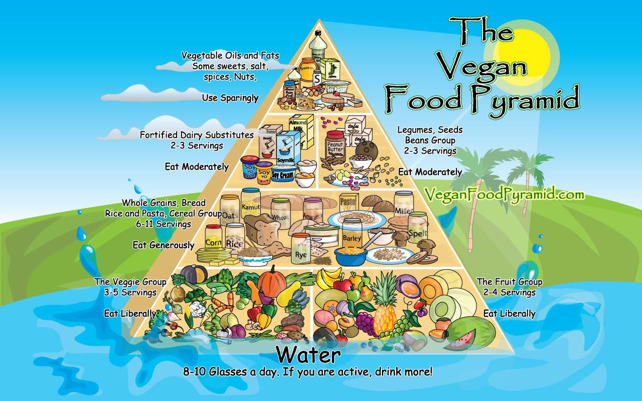 Obrázek vegan food pyramid