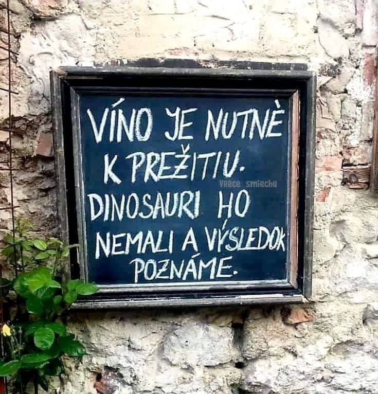 Obrázek vino je nutne