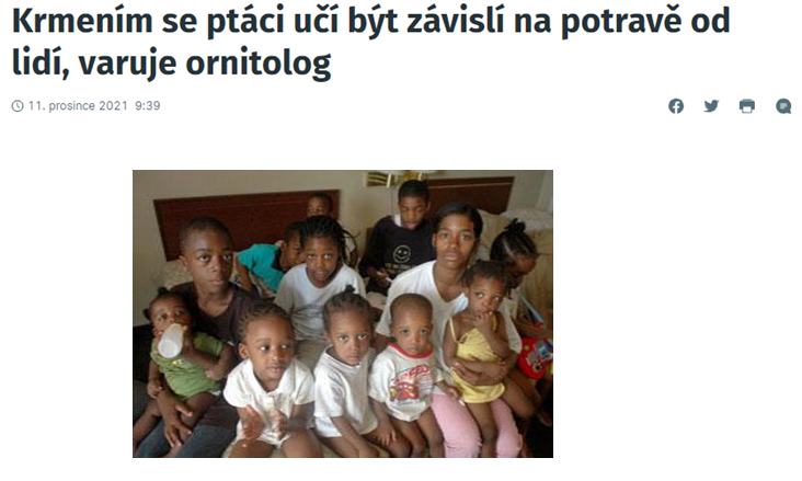 Obrázek welfare36987