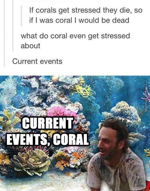 Obrázek what is coral stressed about