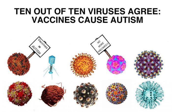 Obrázek what viruses think about vaccines