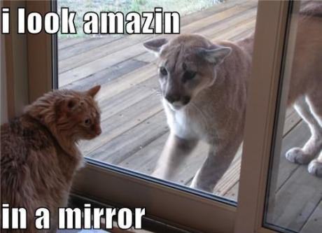 Obrázek when i look in a mirror