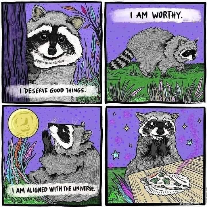 Obrázek worthy racoon