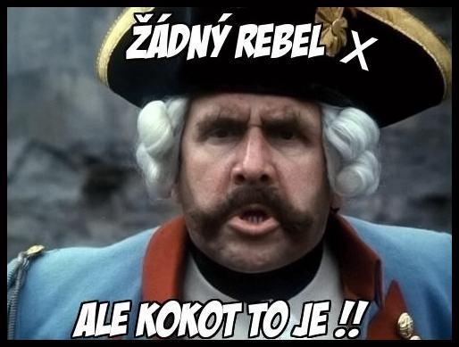 Obrázek x je zpatky