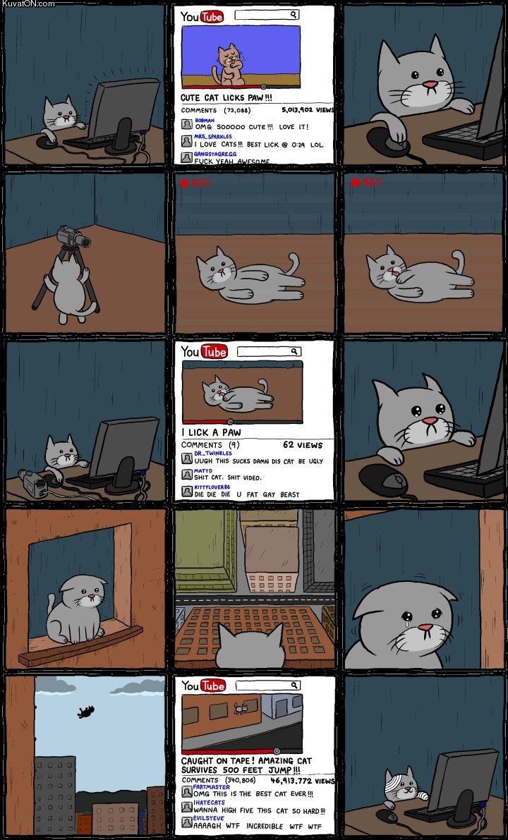 Obrázek youtube cat comic