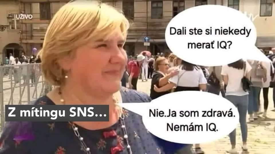 Obrázek z mitingu SNS