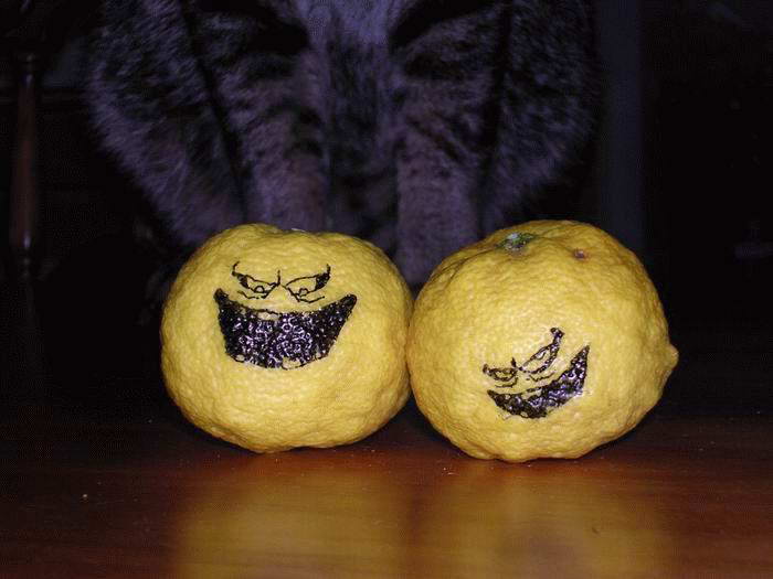 Obrázek zle citrony