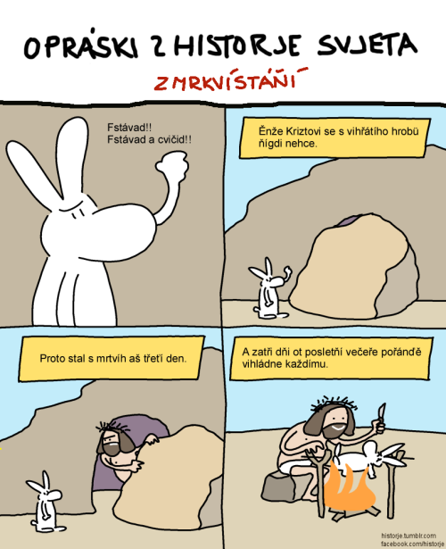 Obrázek zmrkvistani