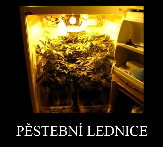 pestebni.jpg pestebni.jpg