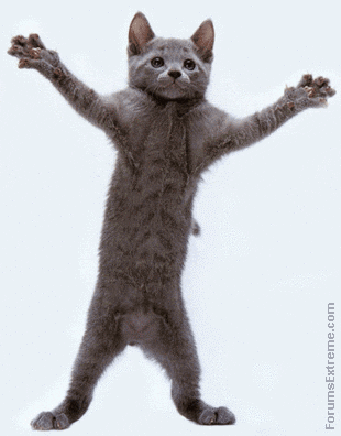 hooray.gif hooray.gif
