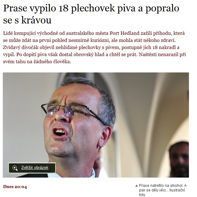 divoky_kalous.jpg divoky_kalous.jpg