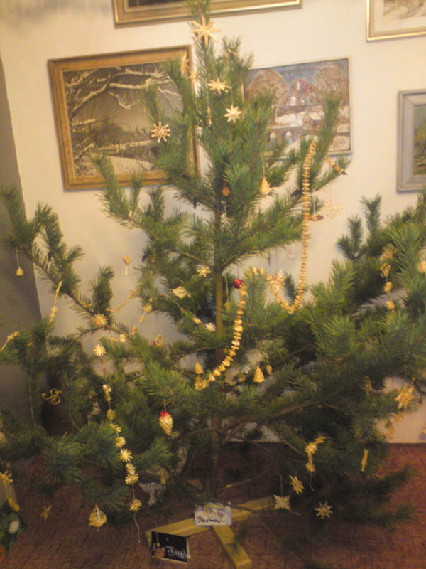 DSC04012_kopie.jpg DSC04012_kopie.jpg