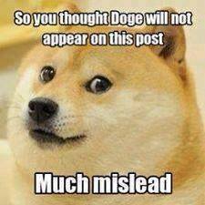 doge.jpg doge.jpg