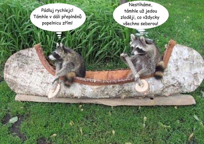 trashpandas.jpg