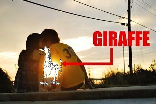 3854Giraffe.jpg