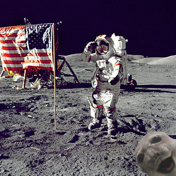 Apollo-11-moon-landing-3.jpg
