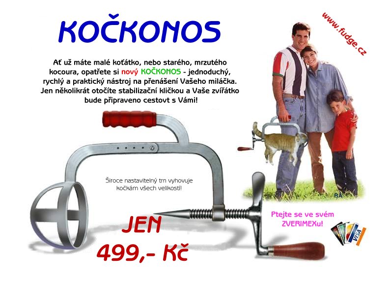 kockonos_5B1_5D.jpg