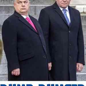 Dumb-and-Dumber-Eastern-Europe-1734912808826