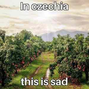 In-Czechia-this-is-sad