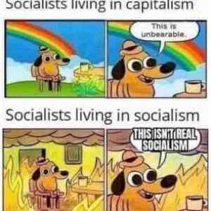 Socialist POV