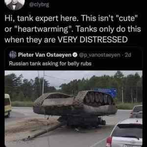 Tank needs some loving