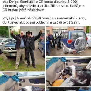 dezolati se konecne stehuji do zeme zaslibene